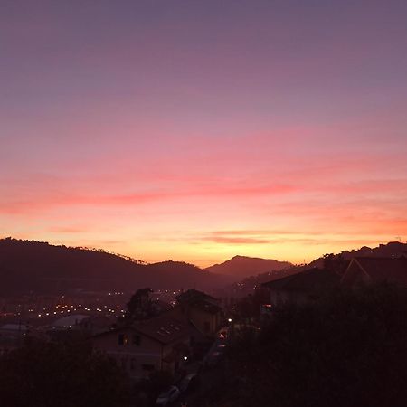 Il Glicine Cozy Appartamnent, Near Sestri Levante Between Cinque Terre E Portofino Casarza Ligure Ngoại thất bức ảnh