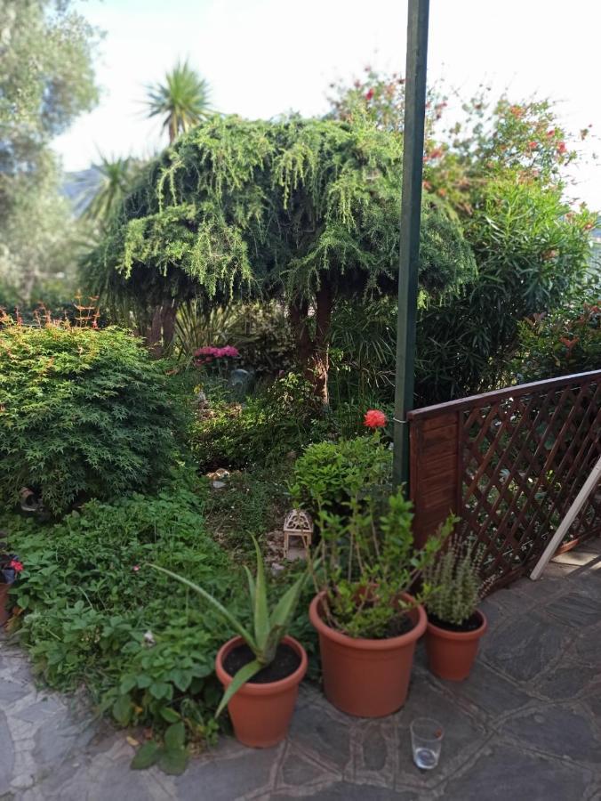 Il Glicine Cozy Appartamnent, Near Sestri Levante Between Cinque Terre E Portofino Casarza Ligure Ngoại thất bức ảnh