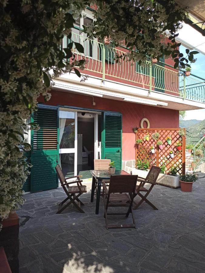 Il Glicine Cozy Appartamnent, Near Sestri Levante Between Cinque Terre E Portofino Casarza Ligure Ngoại thất bức ảnh