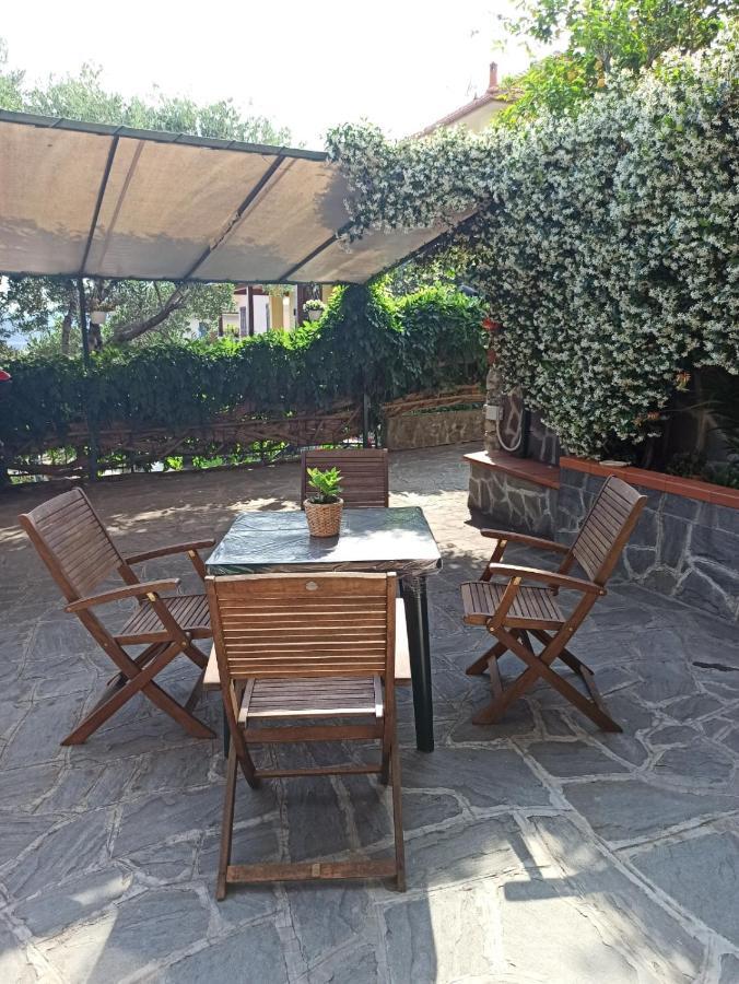Il Glicine Cozy Appartamnent, Near Sestri Levante Between Cinque Terre E Portofino Casarza Ligure Ngoại thất bức ảnh