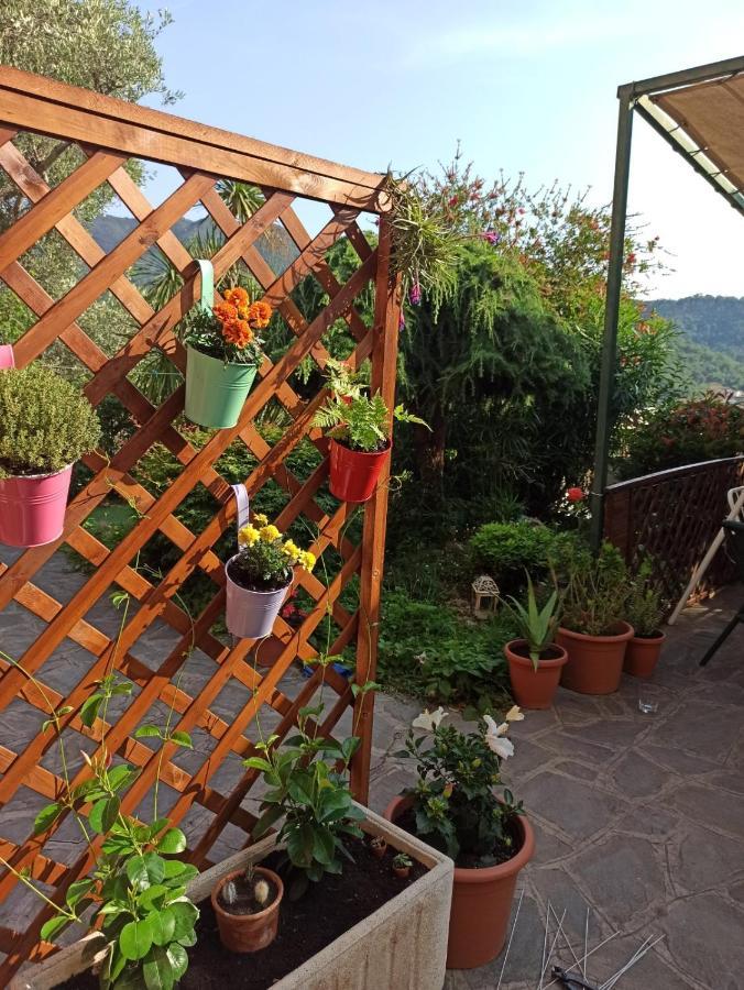 Il Glicine Cozy Appartamnent, Near Sestri Levante Between Cinque Terre E Portofino Casarza Ligure Ngoại thất bức ảnh