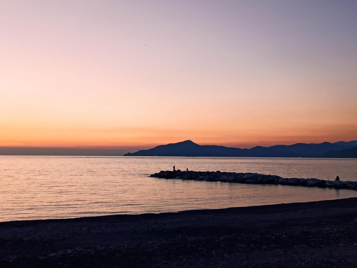 Il Glicine Cozy Appartamnent, Near Sestri Levante Between Cinque Terre E Portofino Casarza Ligure Ngoại thất bức ảnh