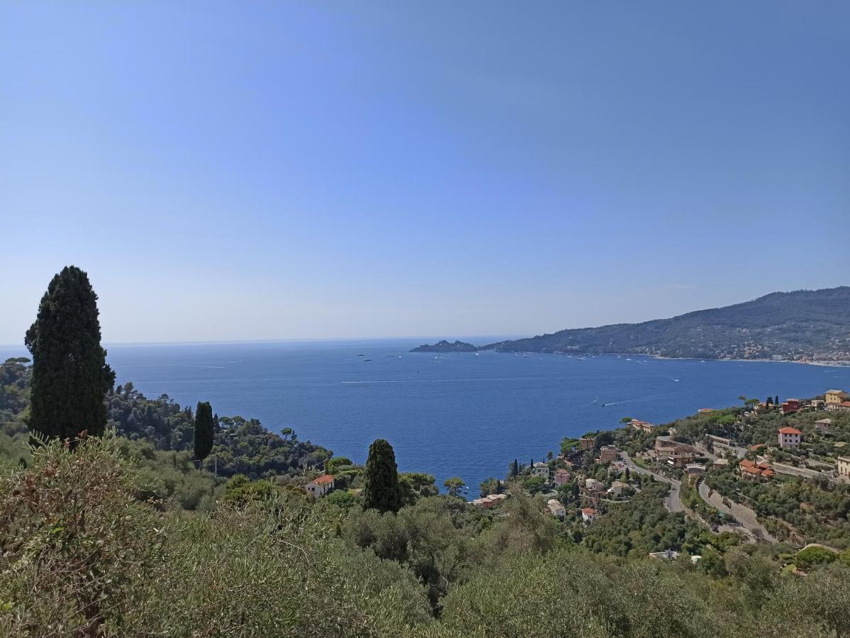 Il Glicine Cozy Appartamnent, Near Sestri Levante Between Cinque Terre E Portofino Casarza Ligure Ngoại thất bức ảnh