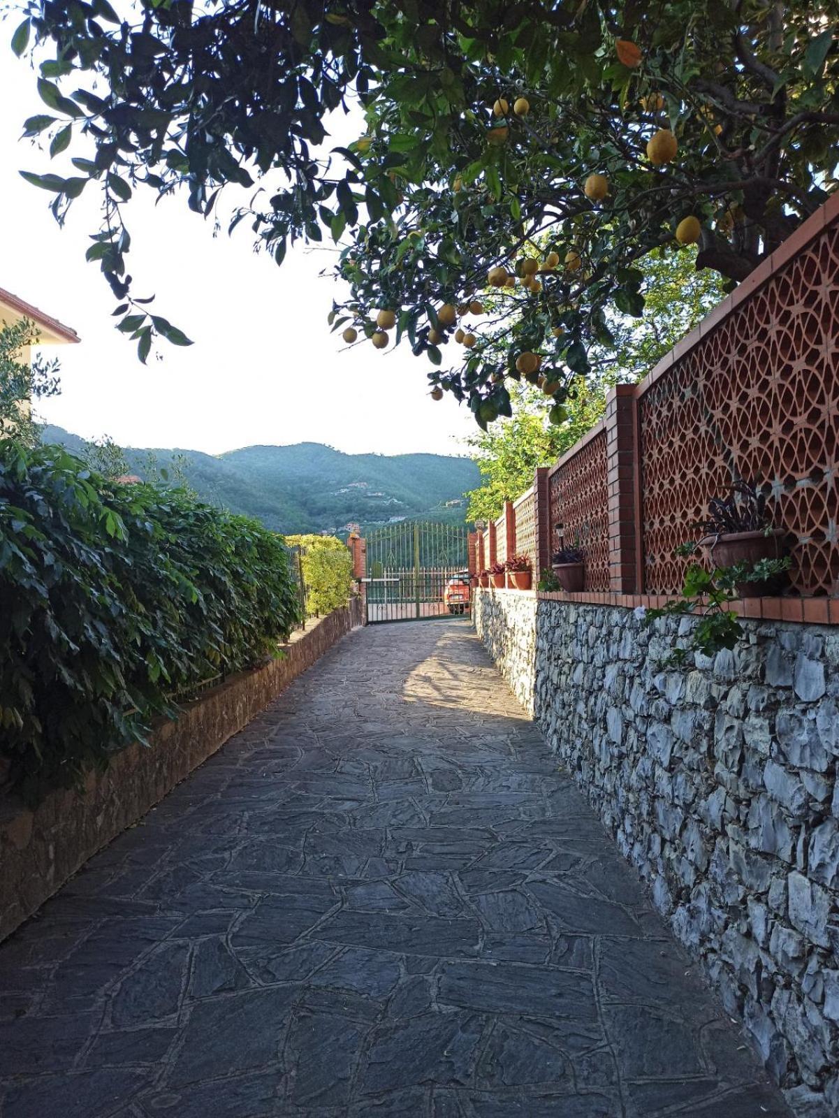 Il Glicine Cozy Appartamnent, Near Sestri Levante Between Cinque Terre E Portofino Casarza Ligure Ngoại thất bức ảnh