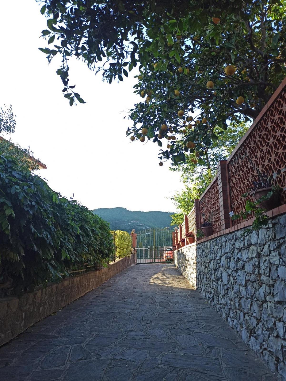 Il Glicine Cozy Appartamnent, Near Sestri Levante Between Cinque Terre E Portofino Casarza Ligure Ngoại thất bức ảnh